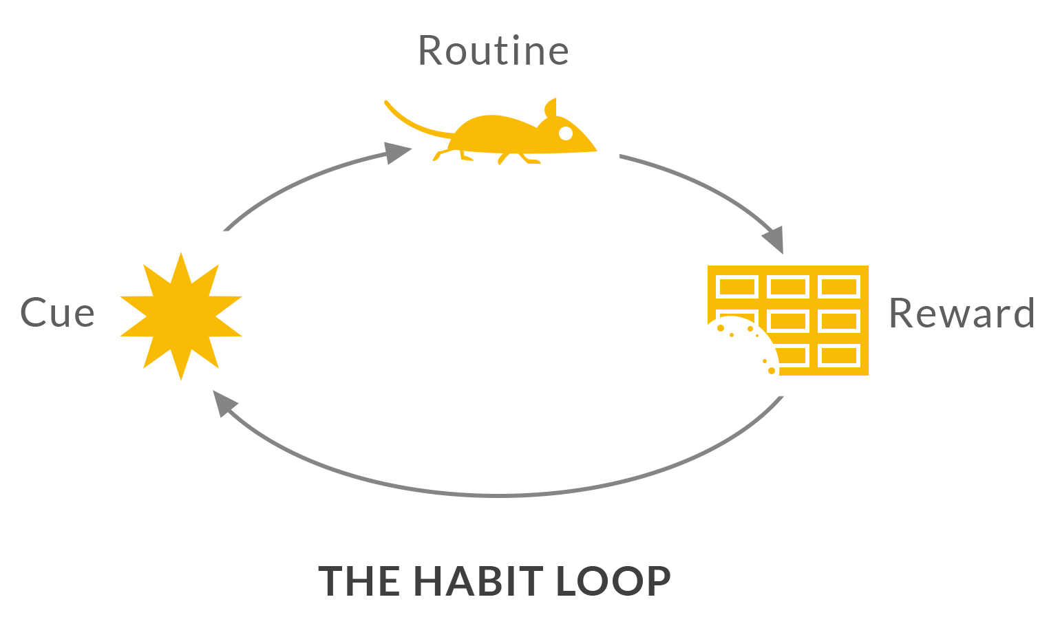 The Habit Loop